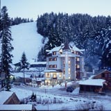 Отель Alpin  