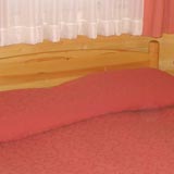 Гостиница Альпин