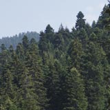 Отель Альпин в Боровце