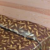 Феста Чамкория