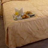 Отель Феста Чамкория