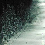 Феста Чамкория в Боровце