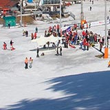 Феста Чамкория в Боровце