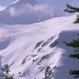 Флора в Боровце