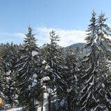 Айсберг в Боровце