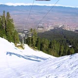 Мура в Боровце