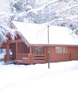 Отель Ястребец СПА в Боровце