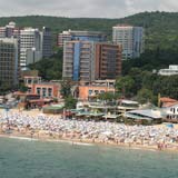 Астера на Золотых Песках